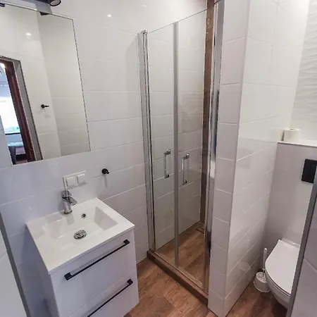 ゲストハウス Goscinne Irena 3*